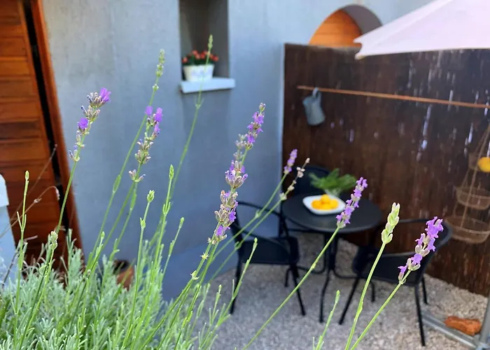 Maison d'hôtes Savic Šilo