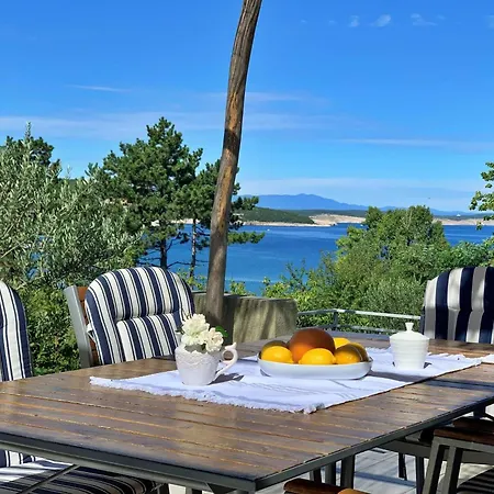 Savic Guest house