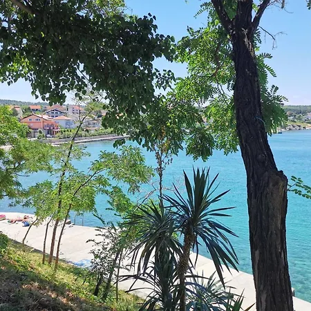 Savic Guest house 3*